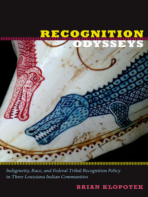 cover image of Recognition Odysseys